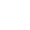 Google+